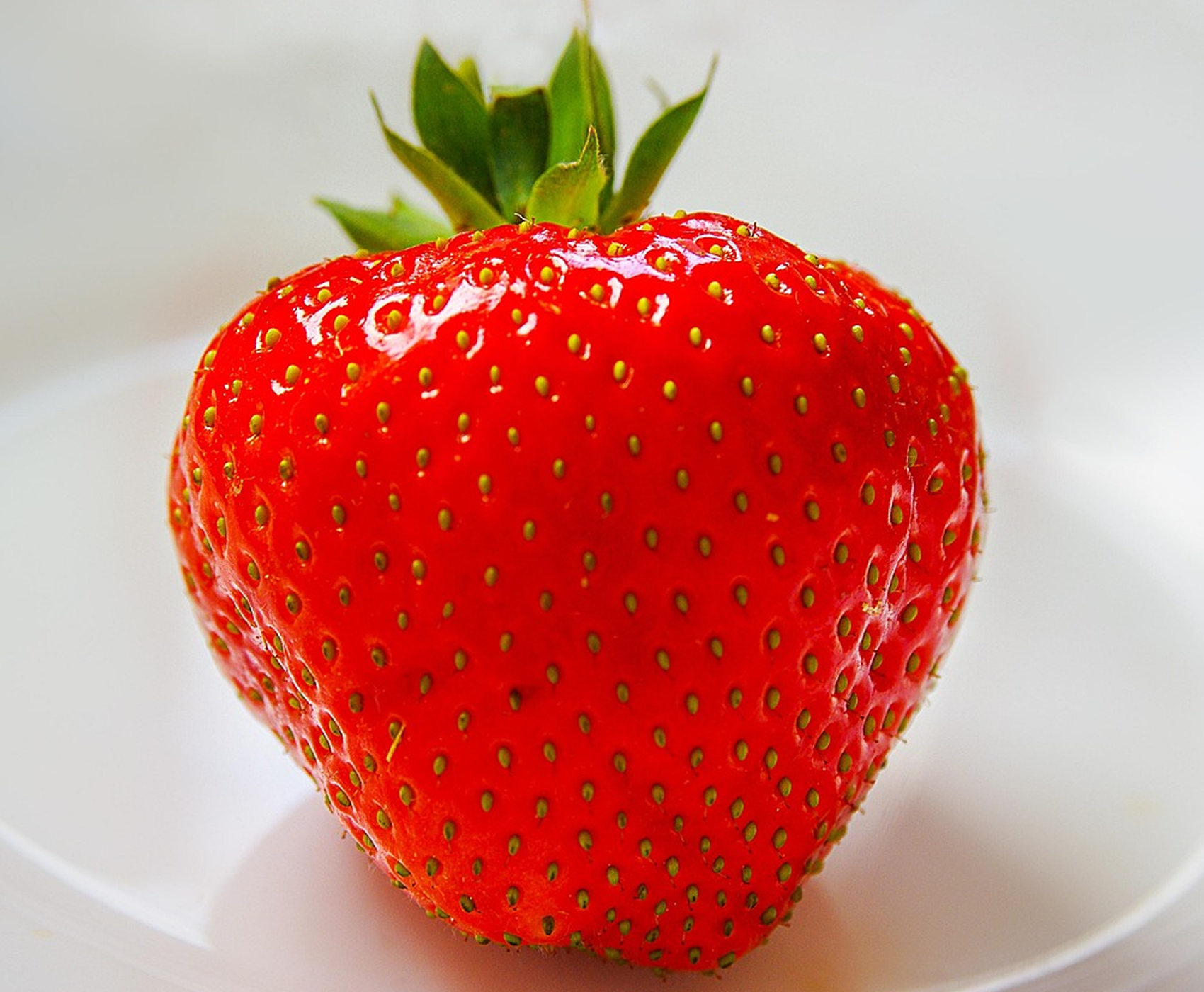 Erdbeere