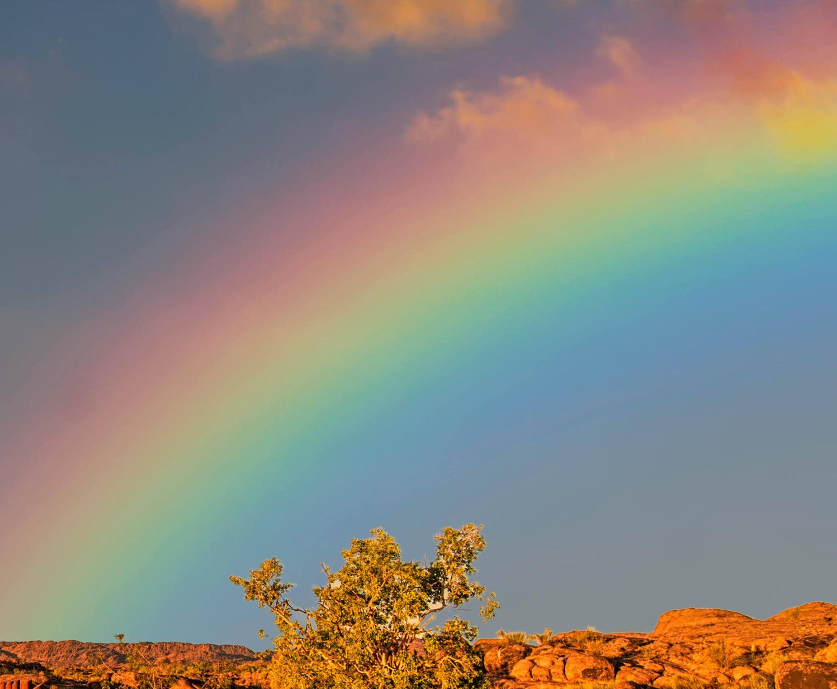 Regenbogen