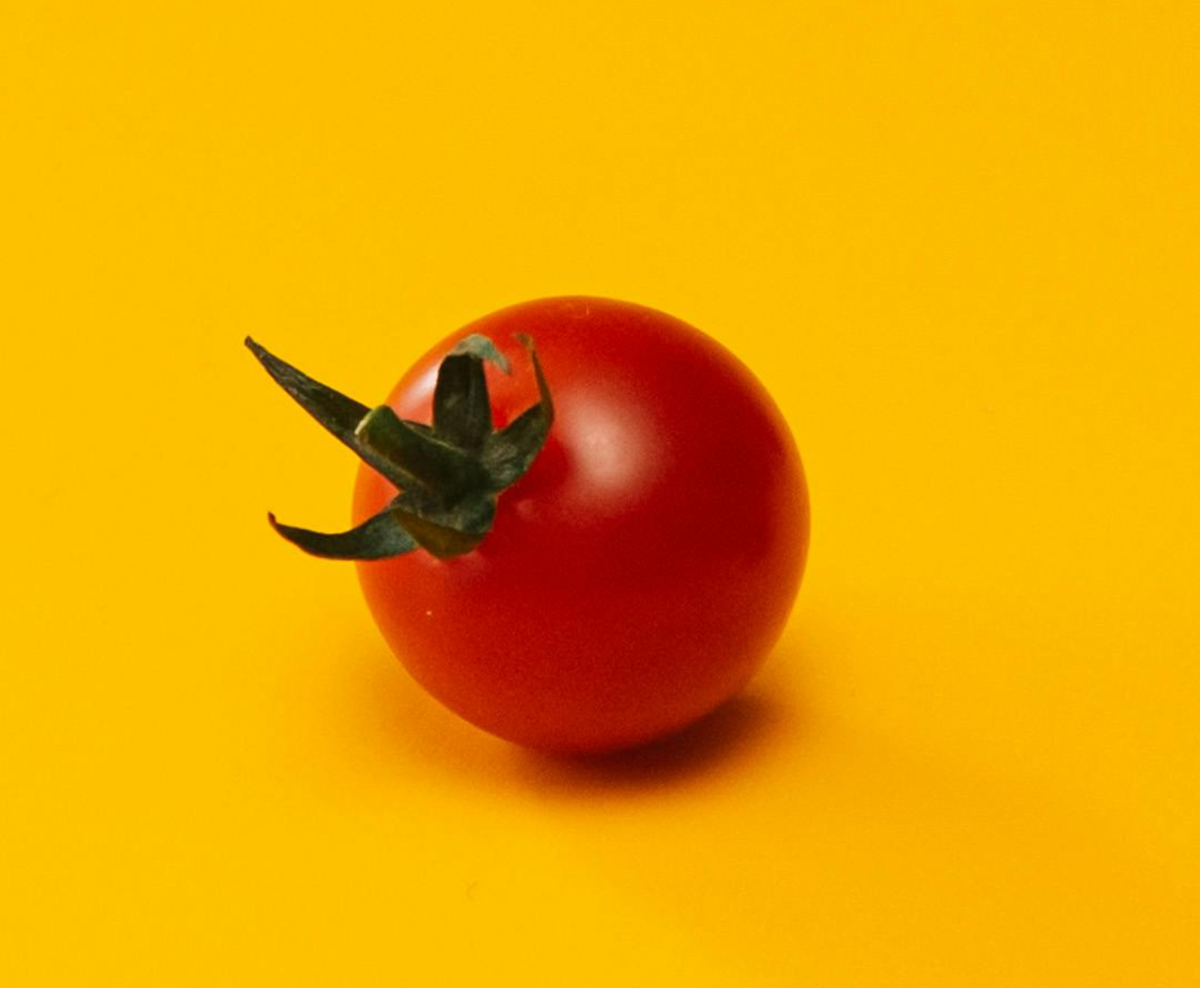 Tomate